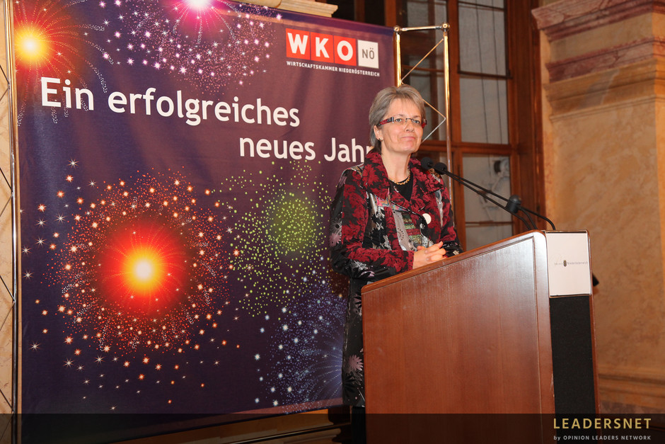 Neujahrsempfang WKNÖ - Fotos K.Schiffl