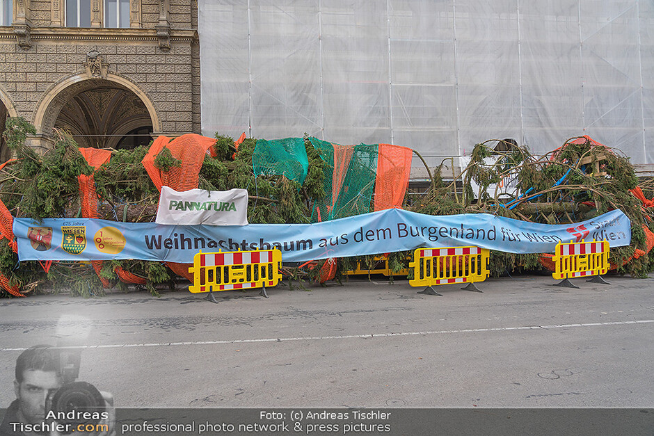 Christbaum Aufstellen vor dem Wiener Rathaus