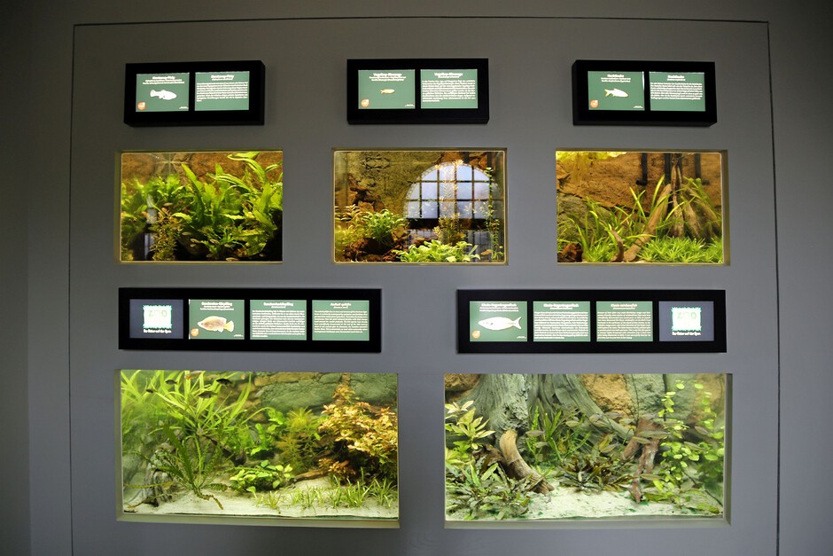 Wiedereröffnung historisches Aquarium im Zoo Leipzig