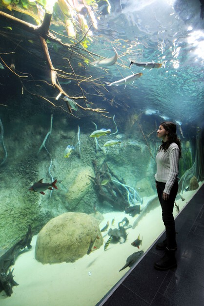 Wiedereröffnung historisches Aquarium im Zoo Leipzig