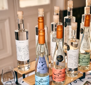 Falstaff-Bar& Spirits Festival Vienna 2026