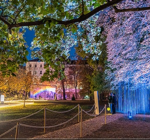 Klanglicht im Park - The Sound of Light