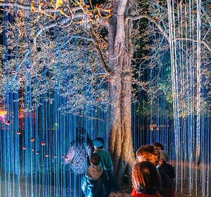 Klanglicht im Park - The Sound of Light