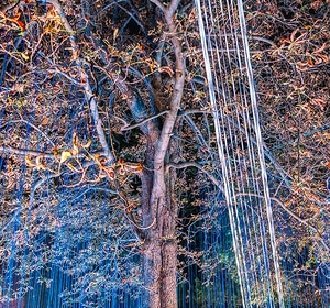 Klanglicht im Park - The Sound of Light