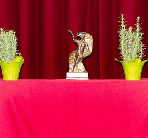 Vienna Brand Gala