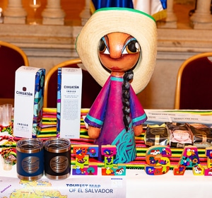 Vienna Brand Gala